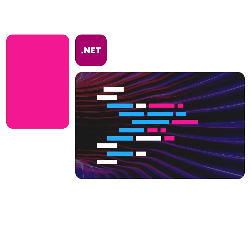 .NET software ontwikkeling